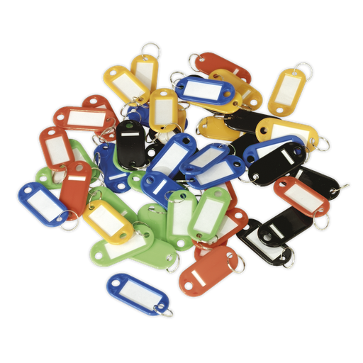 [SKTAG50] Sealey Key Tag Assortment 50pc