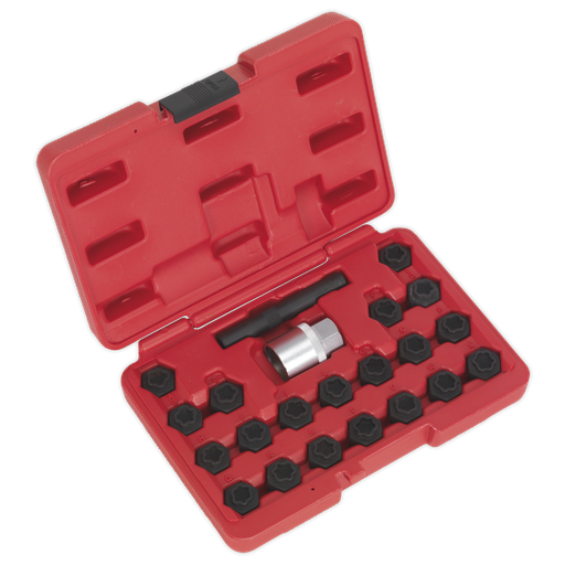 [SX207] Sealey Locking Wheel Nut Key Set for BMW 22pc