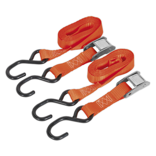 [TD05025CS] Sealey Cam Buckle Strap Polyester Webbing with S-Hooks 25mm x 2.5m 500kg Breaking Strength