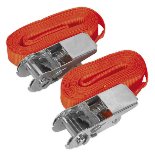 [TD05045E] Sealey Self-Securing Ratchet Straps 25mm x 4.5m 500kg Breaking Strength - Pair