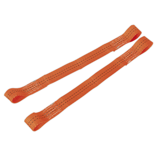 [TDL01] Sealey Tie Down Securing Loop - Pair