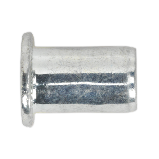 [TIRM10] Sealey Regular Threaded Insert (Rivet Nut) M10 - Pack of 50