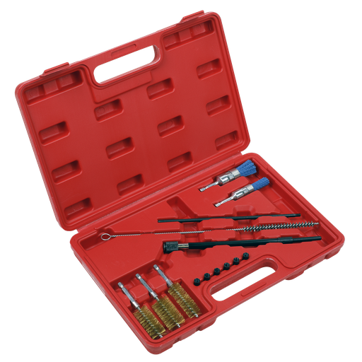 [VS1900] Sealey Injector Bore Cleaning Brush Set 14pc