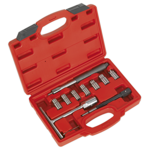 [VS2055] Sealey Diesel Injector Seat Cleaner Set 10pc
